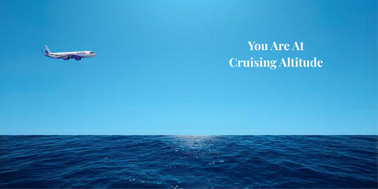 The "Master Strategist" Guide to Holistic Well-being: Maintaining the Engine at Cruising Altitude