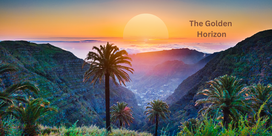 The Gardener of Legacy: Why Every Life Needs a Mission After Sixty